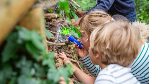 Family taking a closer look at the bug hotel in woodland.